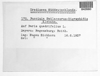 Image Associated With the Occurrence